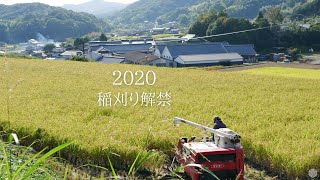 【丸本酒造株式会社】2020年　有機栽培 稲刈り