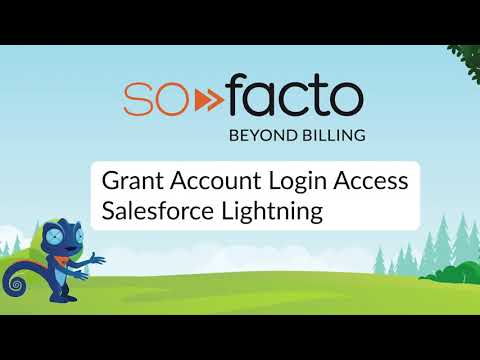 Grant Account Login Access Salesforce Lightning English