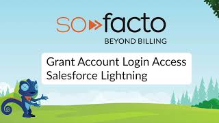 Grant Account Login Access Salesforce Lightning English