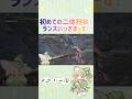 【モンハンワイルズ】二体狩猟順調であります！　#モンハンワイルズ #モンハン #vtuber #shorts #新人vtuber