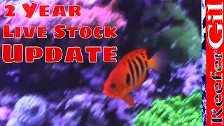 75 Gallon Saltwater Reef Aquaruim2 Year Livestock Update