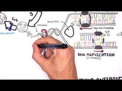 Pharmacology  - Chemotherapy agents (MOA, Alkalating, antimetabolites, topoisomerase, antimitotic