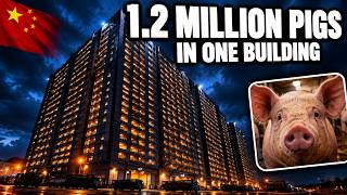 Inside China's Vertical Pig Farm: The 26-Story Building Producing 1.2 Million Pigs a Year
