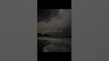 يُعْرَفُ الْمُجْرِمُونَ بِسِيمَاهُمْ فَيُؤْخَذُ بِالنَّوَاصِي وَالأَقْدَامِ ❤️❤️#سورة_الرحمن