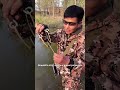 рогатка