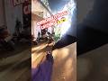 Legend Dog Catcher #dog #legend #streetdogrevival #shorts #ytviral #catch
