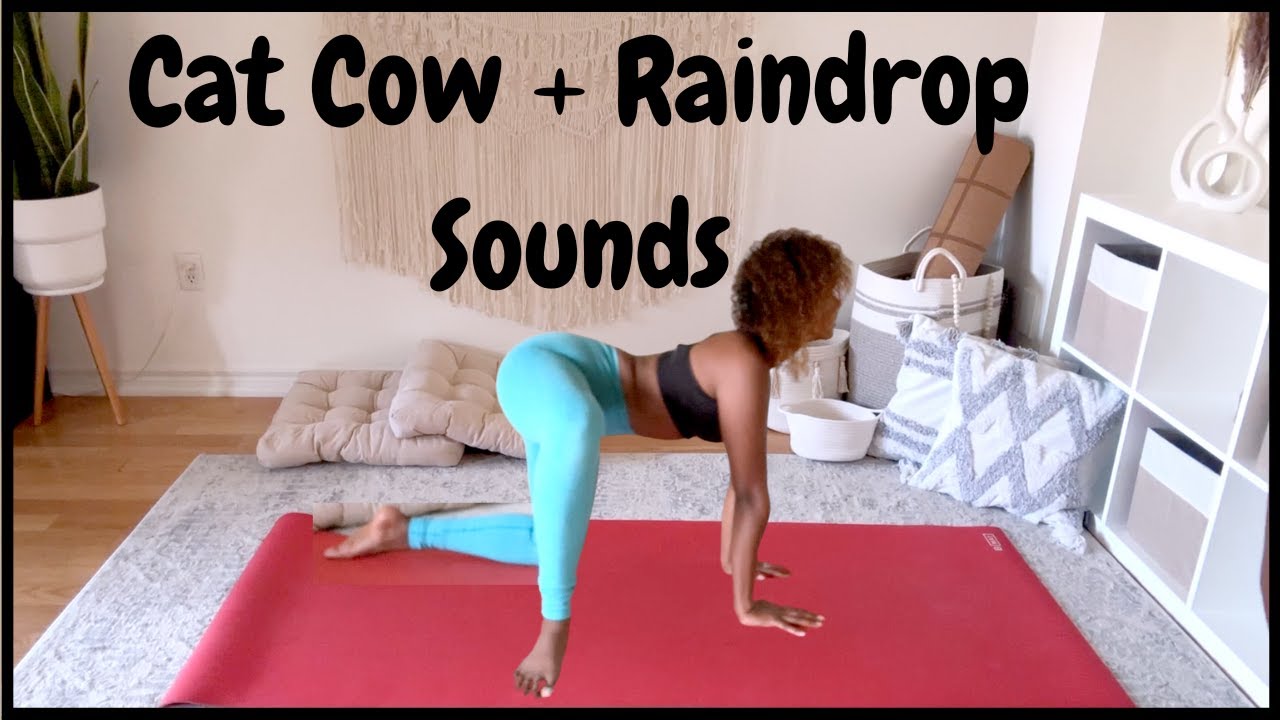 Cowbell Variations Cat Cow Yoga Variations Sequence - YouTube