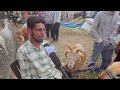 Eidgah market abuzz with shoppers ahead of Eid ul Adha