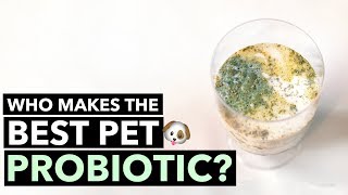 The Best Pet Probiotic Review screenshot 3