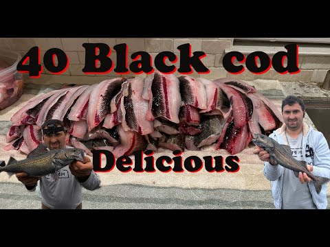 Sole Rack Fish Farallon Island Black Cod, Sole & Rockfish Fishing - YouTube