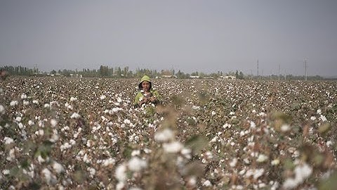 Transforming Agriculture -  Revolutionizing a Country’s Industry