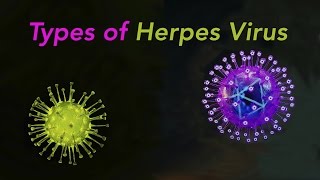 Types of Herpes