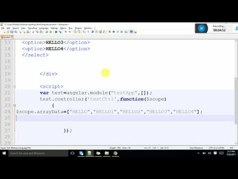How To Use Ngoptions in Angular JS