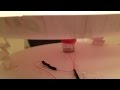 Speaker from a Paper Plate