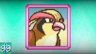 I had hope for you Pidgeot!