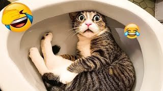 You Laugh You Lose 😹 Funniest Dogs and Cats 2024 🐶