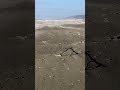 Mesmerising Sand Swipes Across Beach