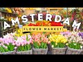 AMSTERDAM FLOWER MARKET | BLOEMENMARKT - Singel Canal | The Netherlands Walking Tour 2023 [4K HD]