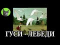 Заметки #80 - Гуси-лебеди (Москва, Парк Горького, Лебединое Озеро) июнь 2016 года