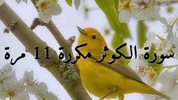 سورة الكوثر للحفظ مكررة 11 مرة