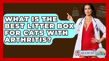 What Is The Best Litter Box For Cats With Arthritis? - Ask A Pet Vet