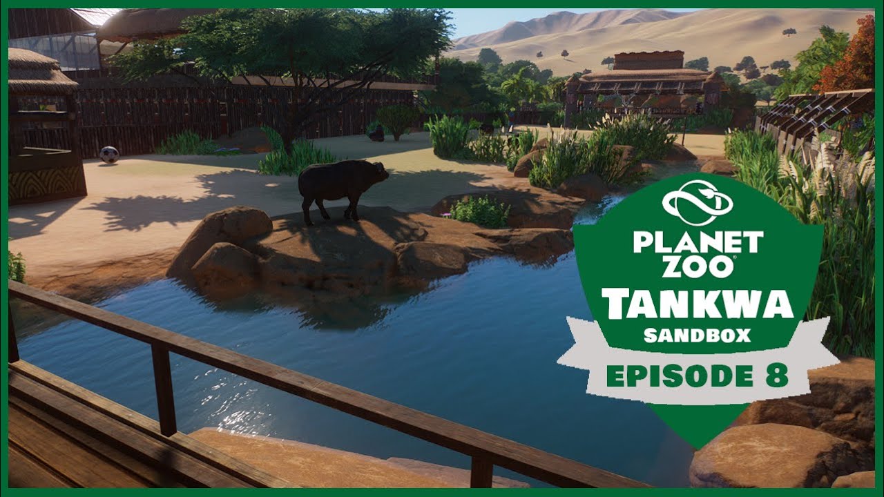 Planet Zoo | EP:08 African Buffalo | Tankwa Sandbox Zoo