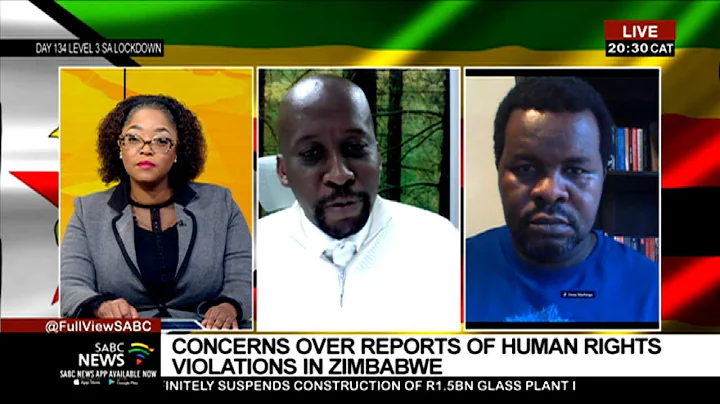 DISCUSSION | Reports of human rights violations in Zimbabwe: Terence Mukupe and Dewa Mavhinga