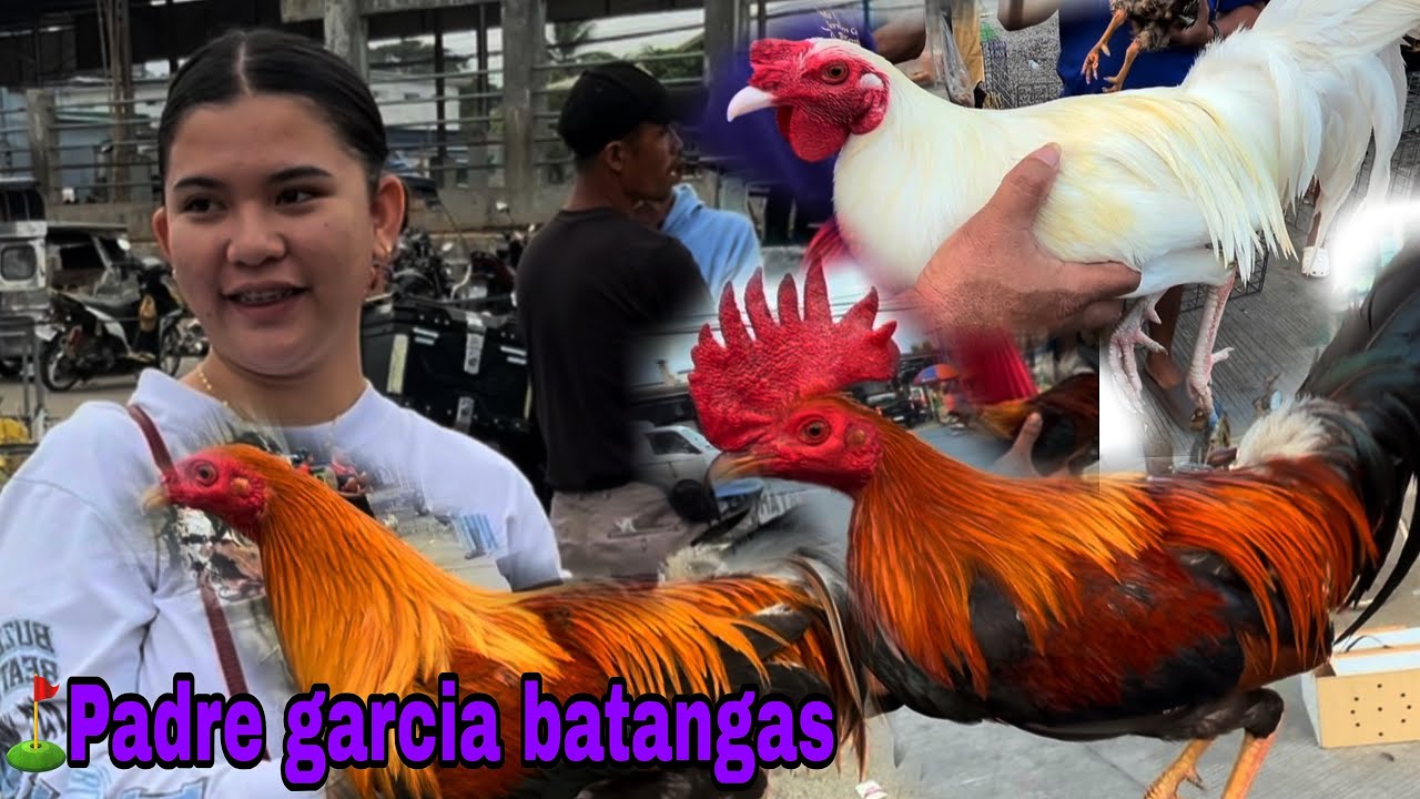 February 24 2026 in Padre garcia batangas 