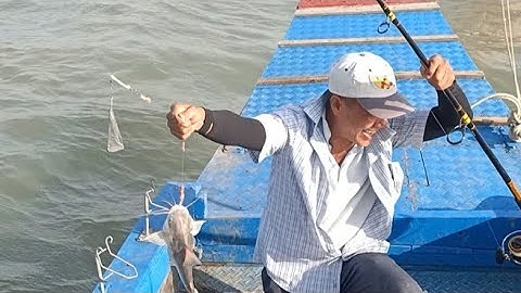 Câu Cá Giữa Sông Sâu Lòng Tàu, Lên Cá Úc Hàng Khủng | Sông Nước Cần Giờ - Châu Huỳnh.