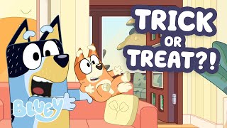 Download Lagu Bluey's Trick or Treat? π± π | 2 HOURS of Jokes and Games π | Bluey MP3 Download Lagu Bluey's Trick or Treat? π± π | 2 HOURS of Jokes and Games π | Bluey MP3