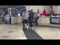 AMERICAN BULLY TKS GUCCI RING COMPILATION GRCH CRYPTO/CH BOOBIE SON