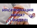 ИНСЕМИНАЦИЯ НИМА? (1-ВИДЕО)