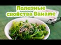 Вакаме | полезные свойства | Все о вакаме