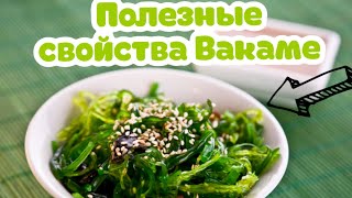 Вакаме | полезные свойства | Все о вакаме