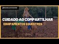 🚨ALERTA🚨 Micose em cavalos | Se você divide equipamentos equestres, cuidado!!!