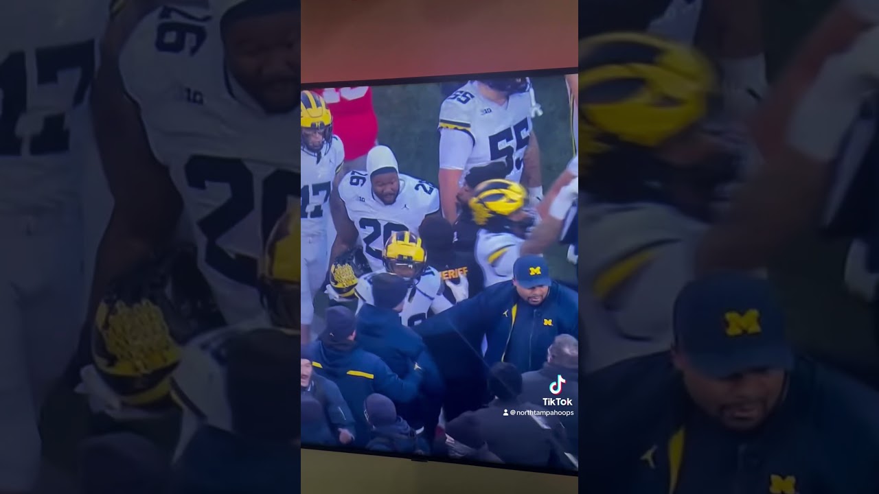 A melee breaks out when michigan plants their flag  