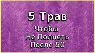 видео: Эти 5 трав заменят диеты после 50 лет | Вес встанет через 3 недели. картинка: Эти 5 трав заменят диеты после 50 лет | Вес встанет через 3 недели.
