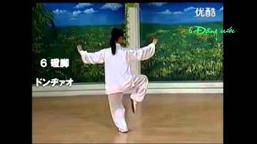 BÁT THỨC THÁI CỰC QUYỀN - 八式太极拳