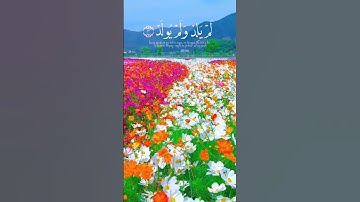 سورة الإخلاص تعدل ثلث القرآن