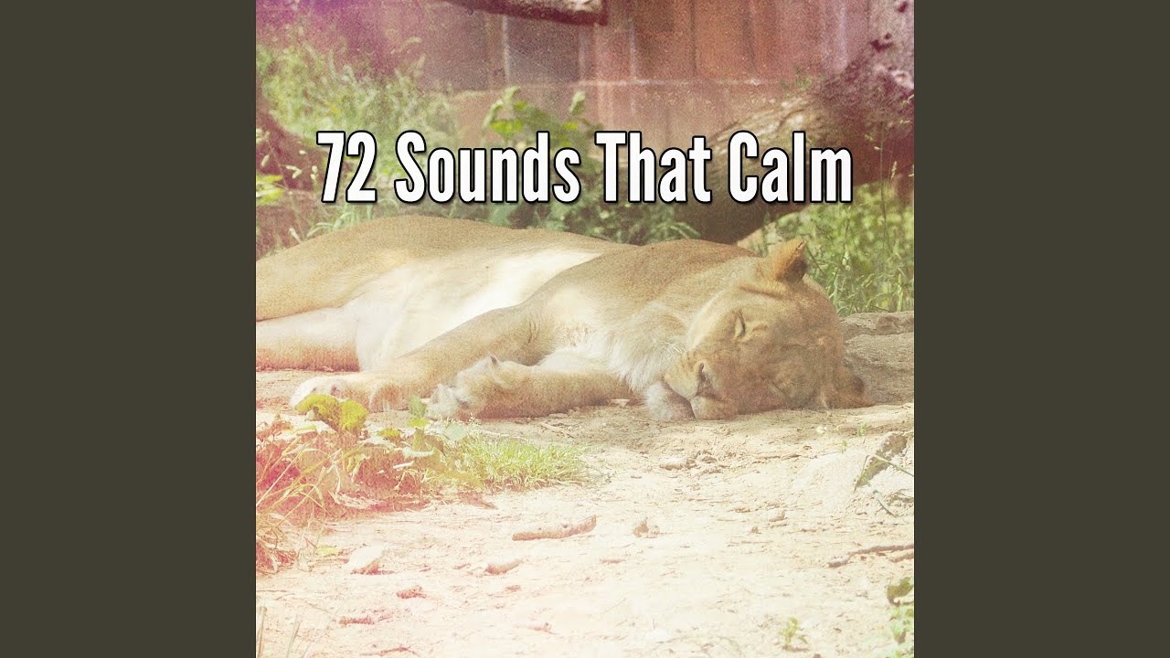 i need some zen time i need some zen time
