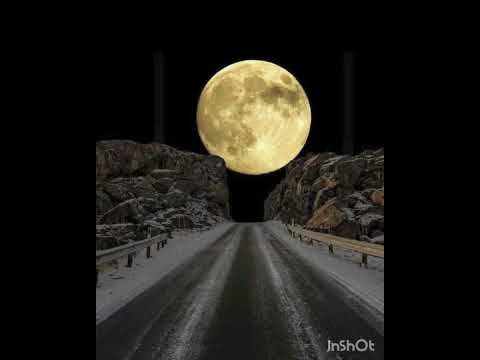 صفدر توکلی به صحرای غمش آواره ام من