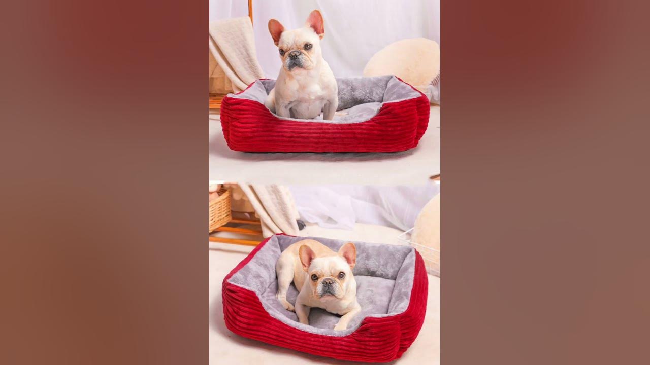 pet mattress comforter for your pets link in description YouTube