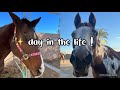A day in my life vlog  jacely marie