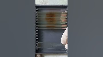 Organizing Slide Box #shorts #zoology #biology