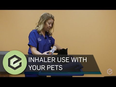 inhaler-use-with-your-pets