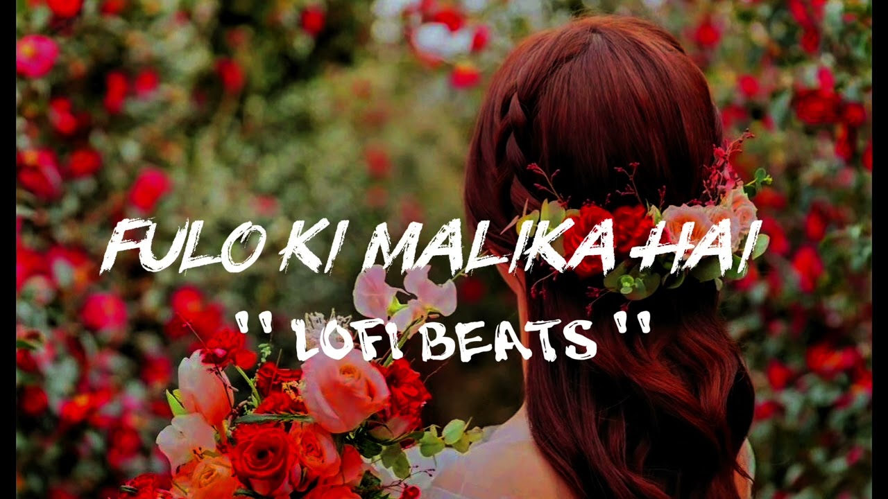 Fulo ki malika hai lofi song 