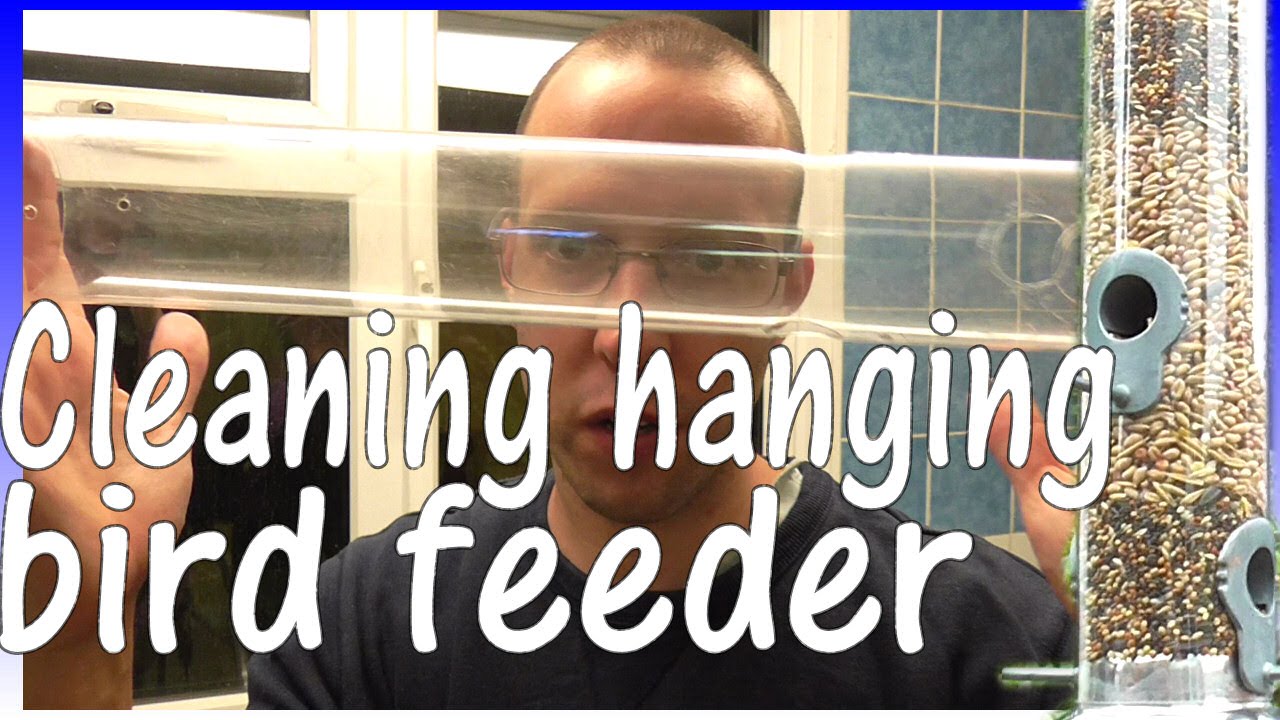How To Clean A Bird Feeder Youtube