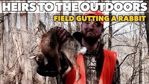 Field Gutting a Rabbit WITHOUT a Knife in 30 Seconds!! | Heirs Shorts l - Heirs to the Outdoors