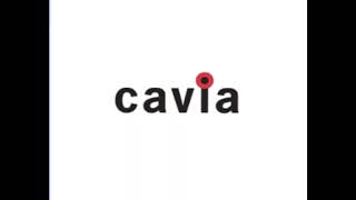 Bandai Namco Gamesbandaicriwarenelvanacaviaracjinviz Mediasakura 20 Years Anniversary 2006