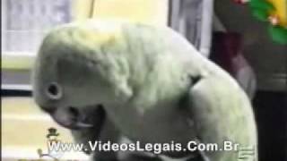 Neverraiseaparrotwithababy